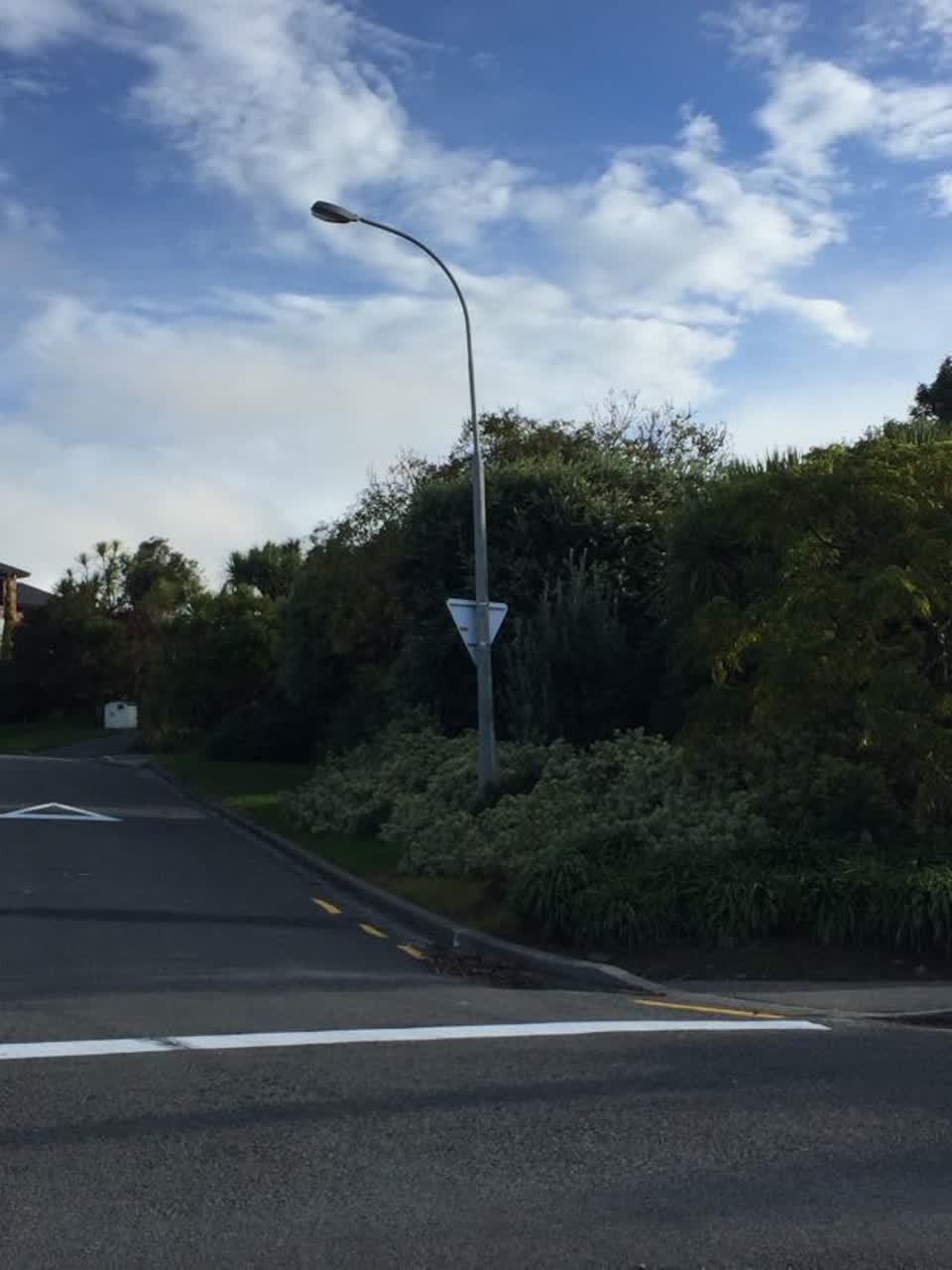 The photograph attached to this roading/streets report