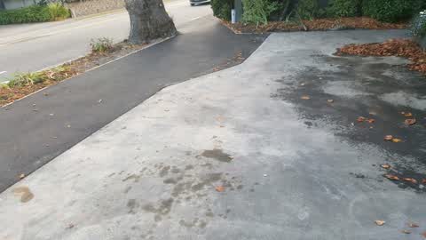 Roading/Streets, a report photo