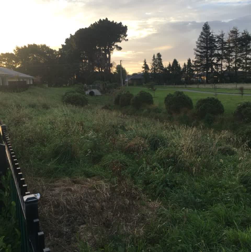 The photograph attached to this parks report