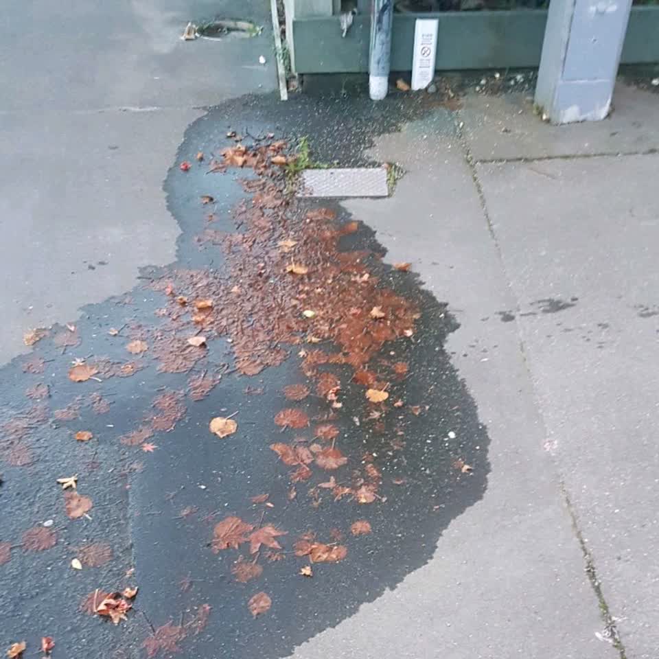 The photograph attached to this water supply report