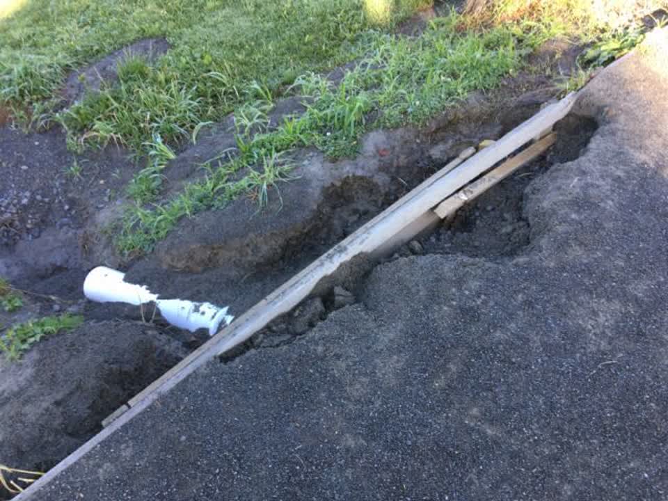 The photograph attached to this parks report