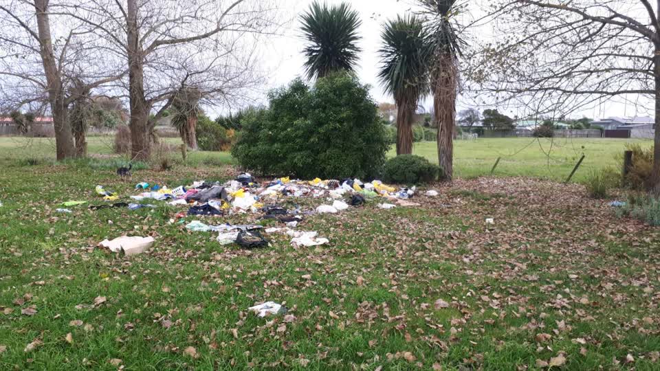 The photograph attached to this rubbish/recycling report