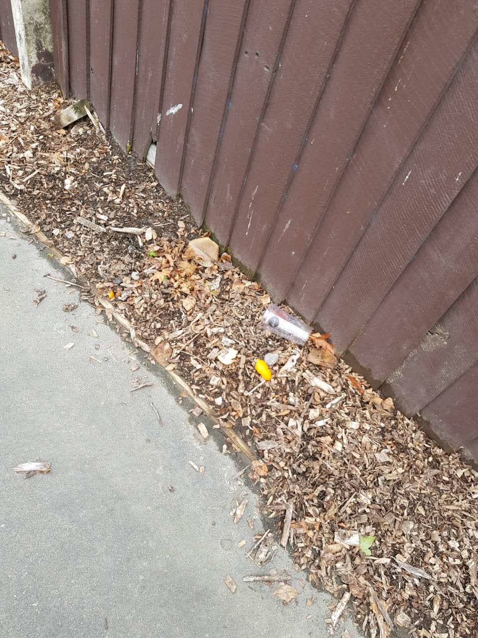 The photograph attached to this parks report