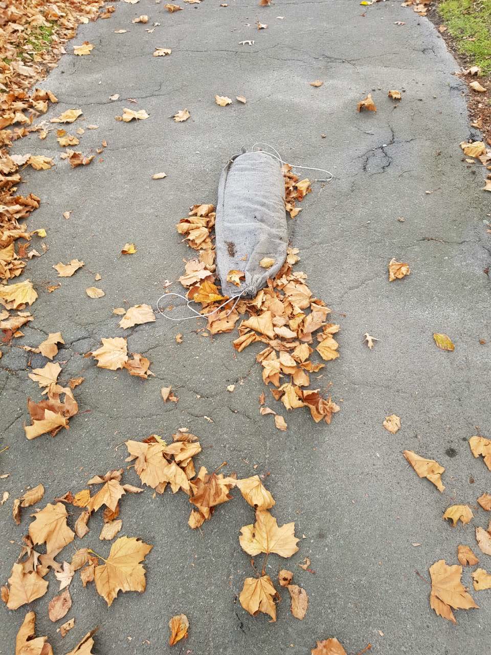 The photograph attached to this parks report