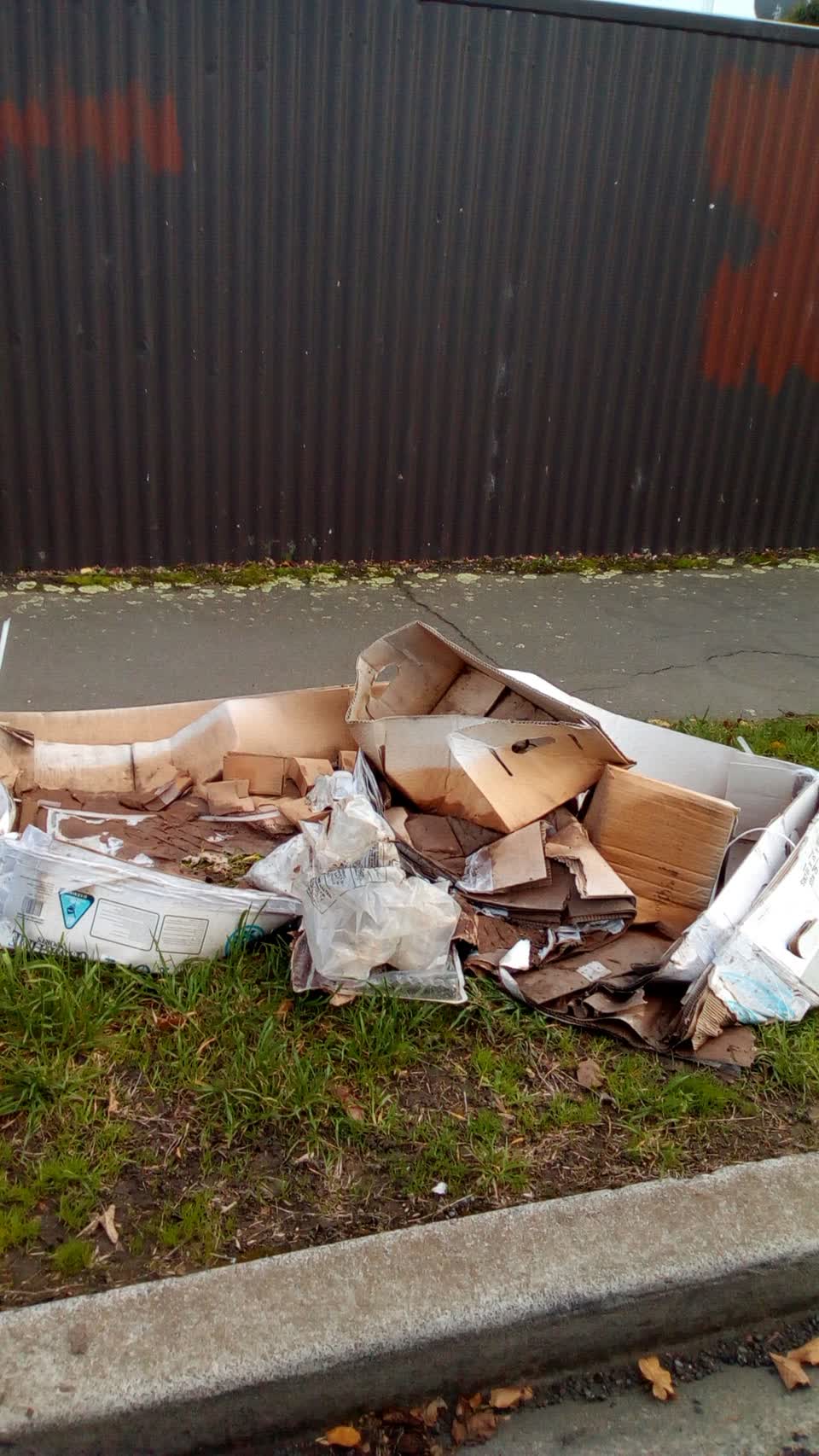 The photograph attached to this rubbish/recycling report