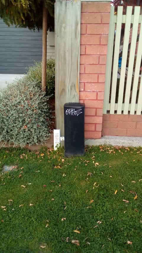 Graffiti, a report photo