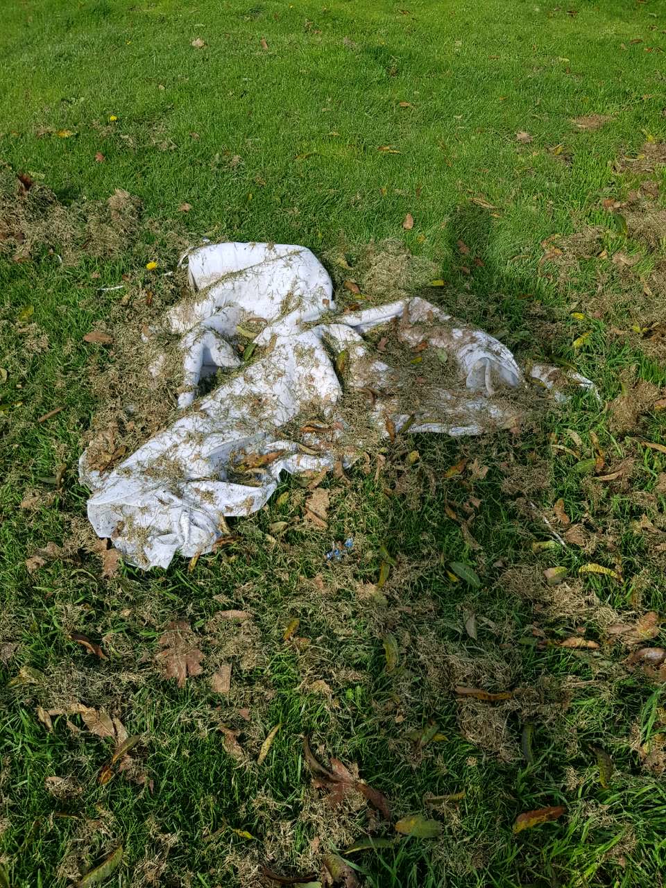 The photograph attached to this parks report