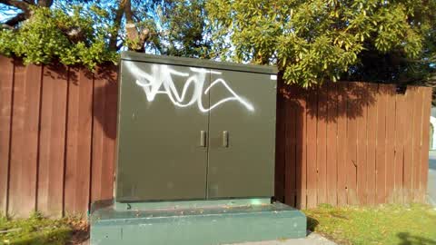 Graffiti, a report photo