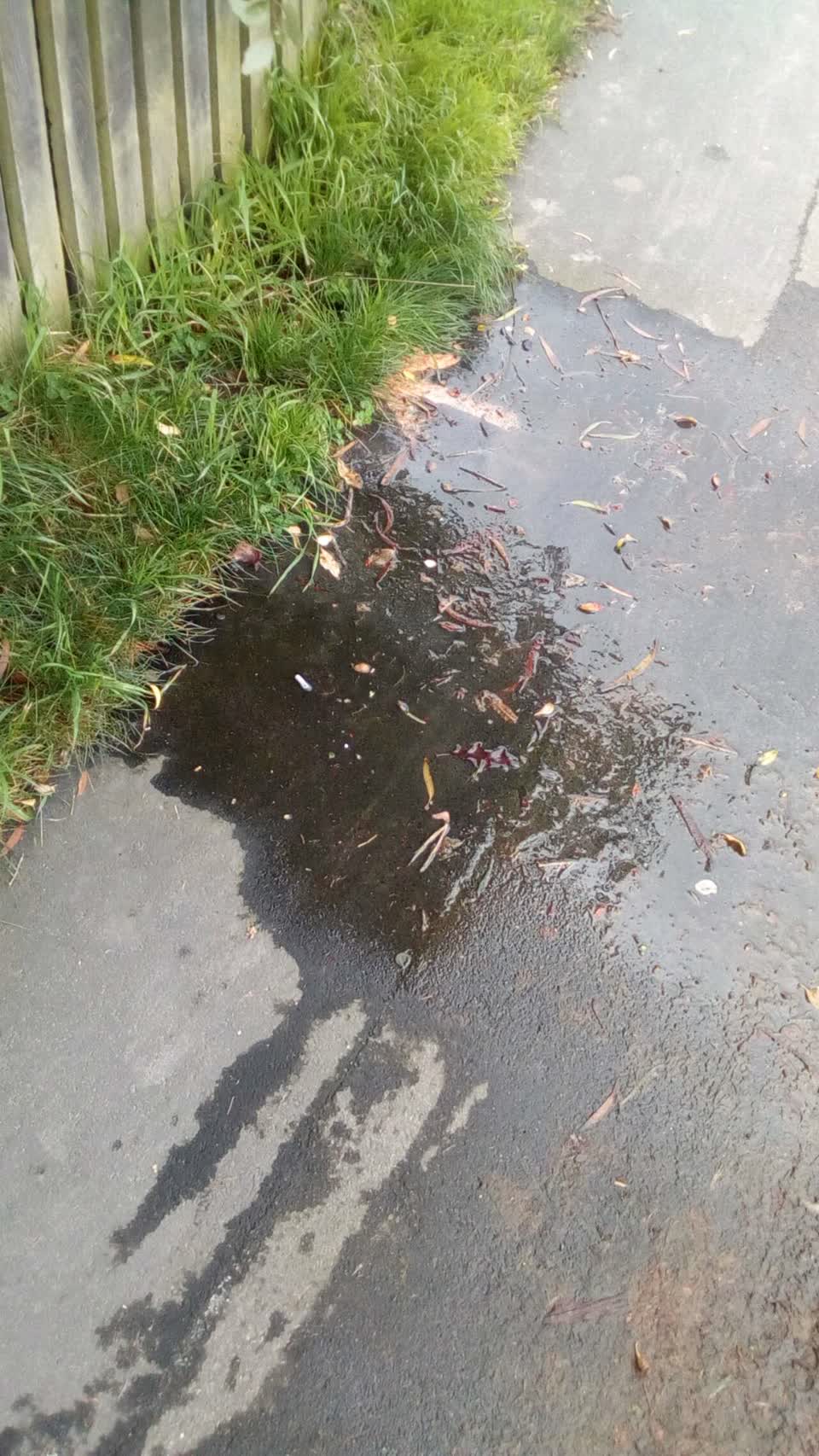 The photograph attached to this water supply report