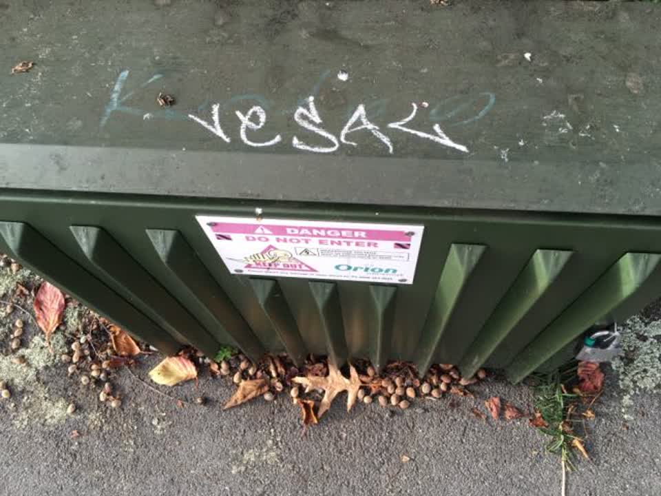 The photograph attached to this graffiti report