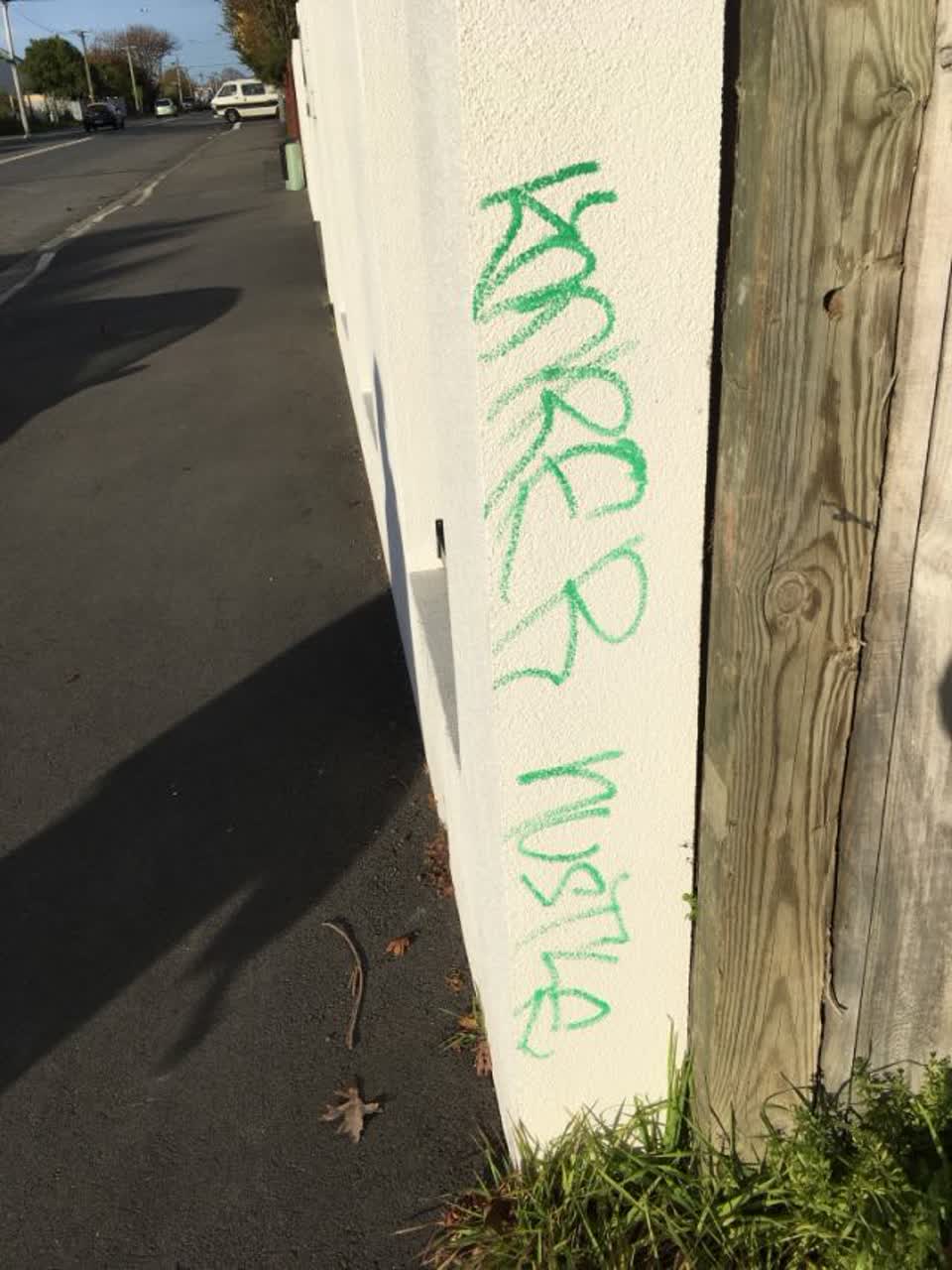 The photograph attached to this graffiti report
