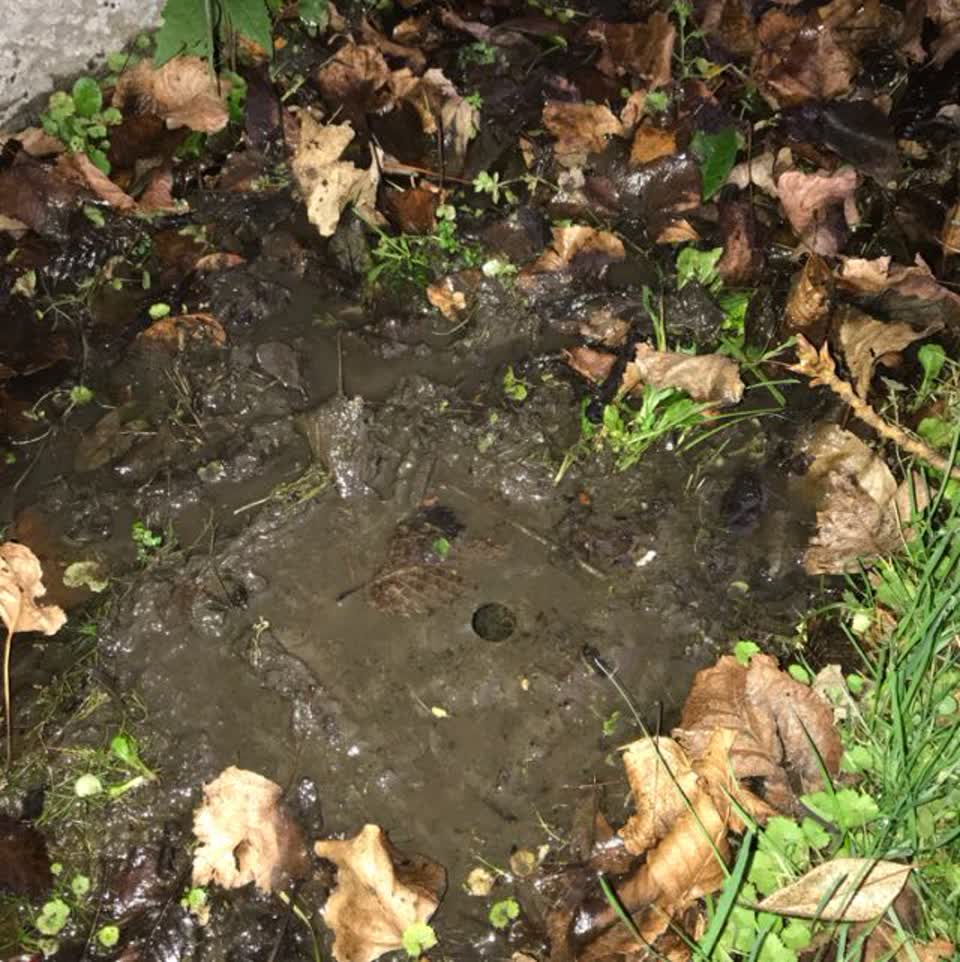 The photograph attached to this water supply report