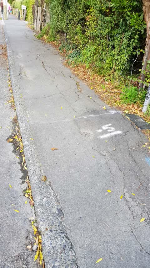 Roading/Streets, a report photo