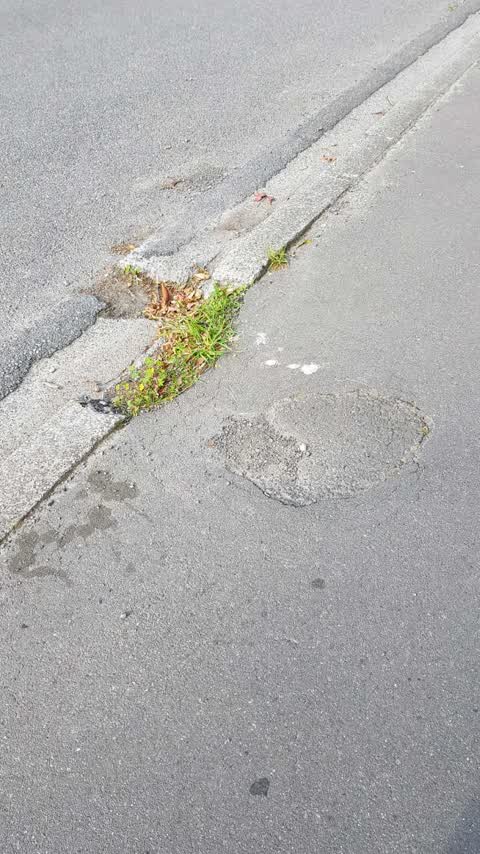 Roading/Streets, a report photo