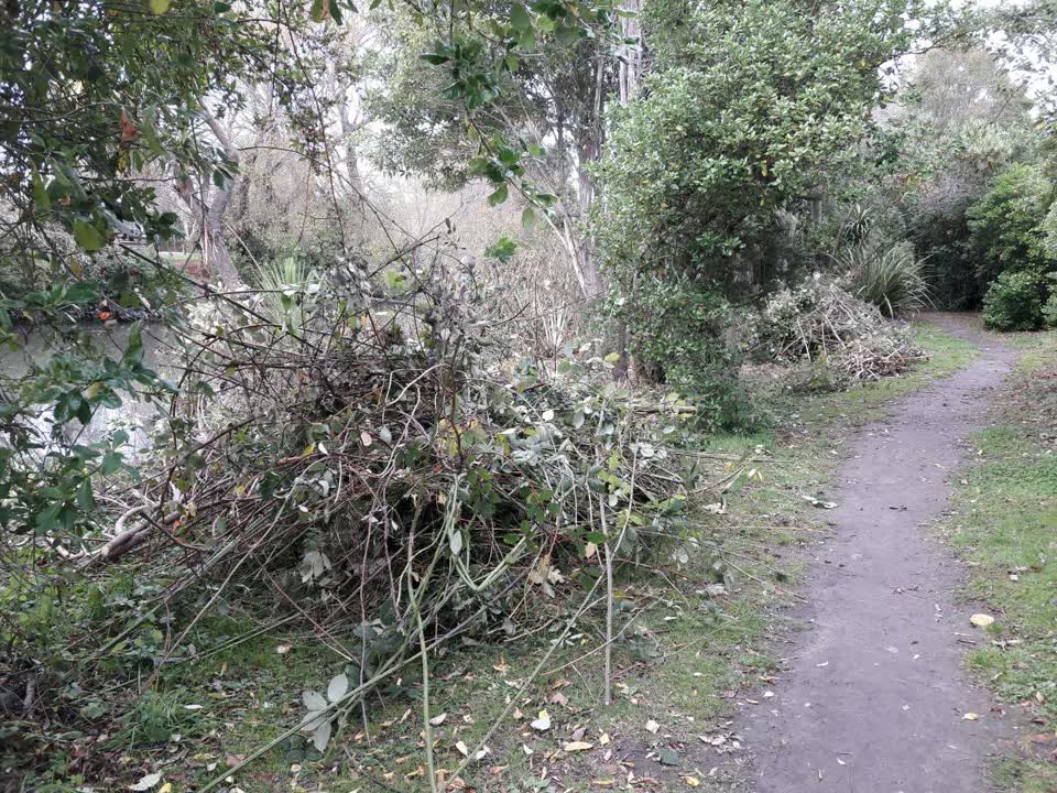 The photograph attached to this parks report