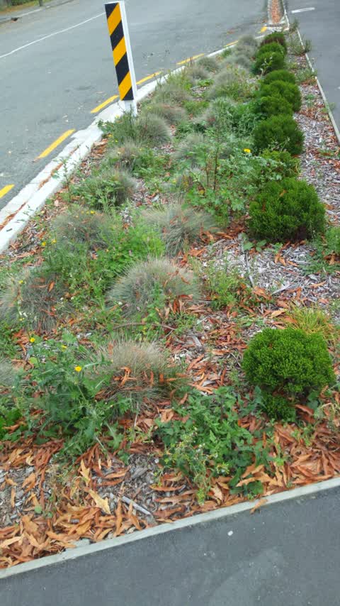 Roading/Streets, a report photo