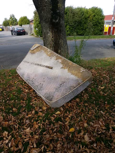 Rubbish/Recycling, a report photo
