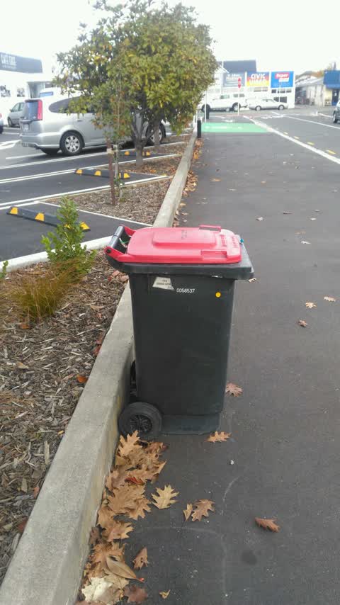 Rubbish/Recycling, a report photo