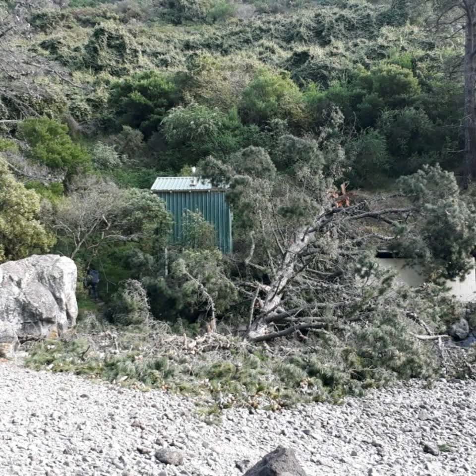 The photograph attached to this parks report