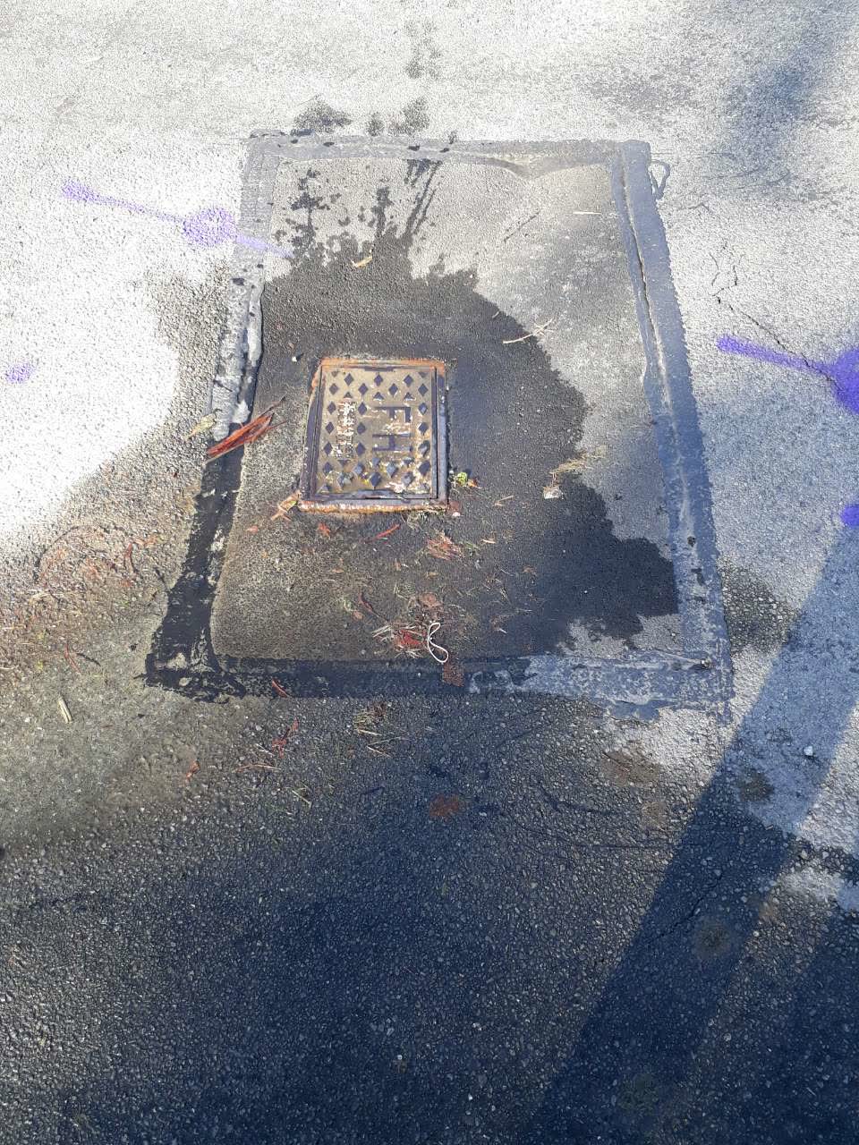 The photograph attached to this water supply report