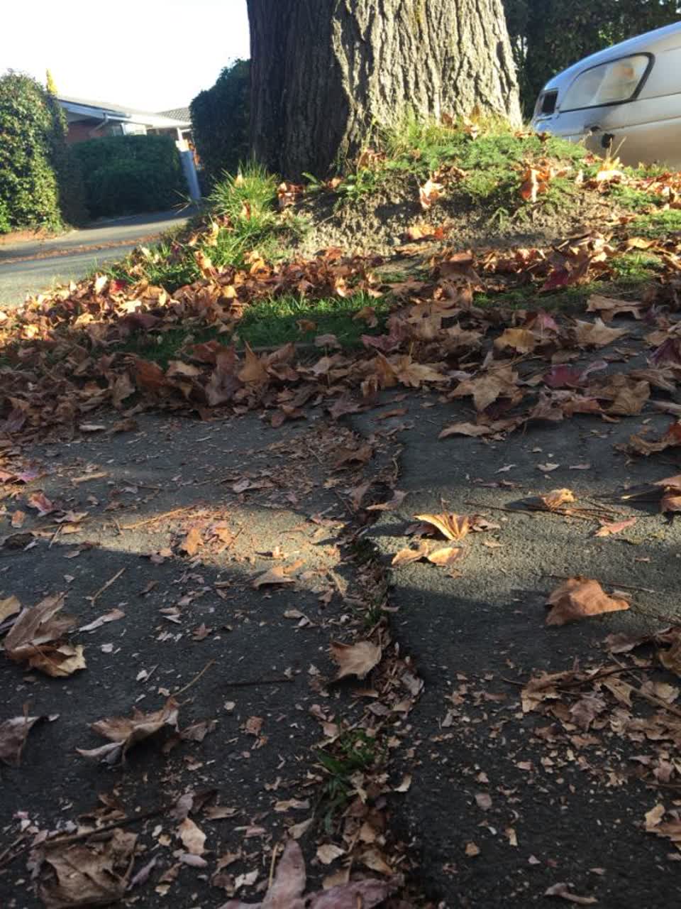 The photograph attached to this roading/streets report