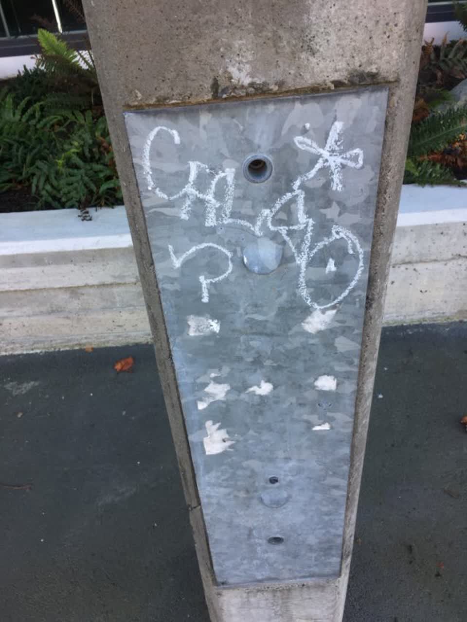 The photograph attached to this graffiti report
