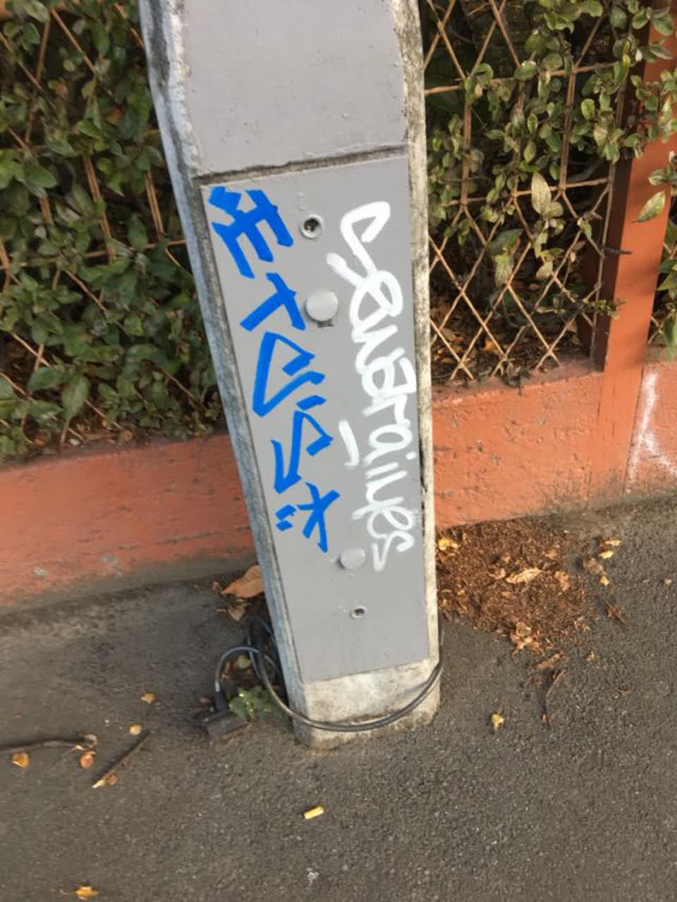 The photograph attached to this graffiti report