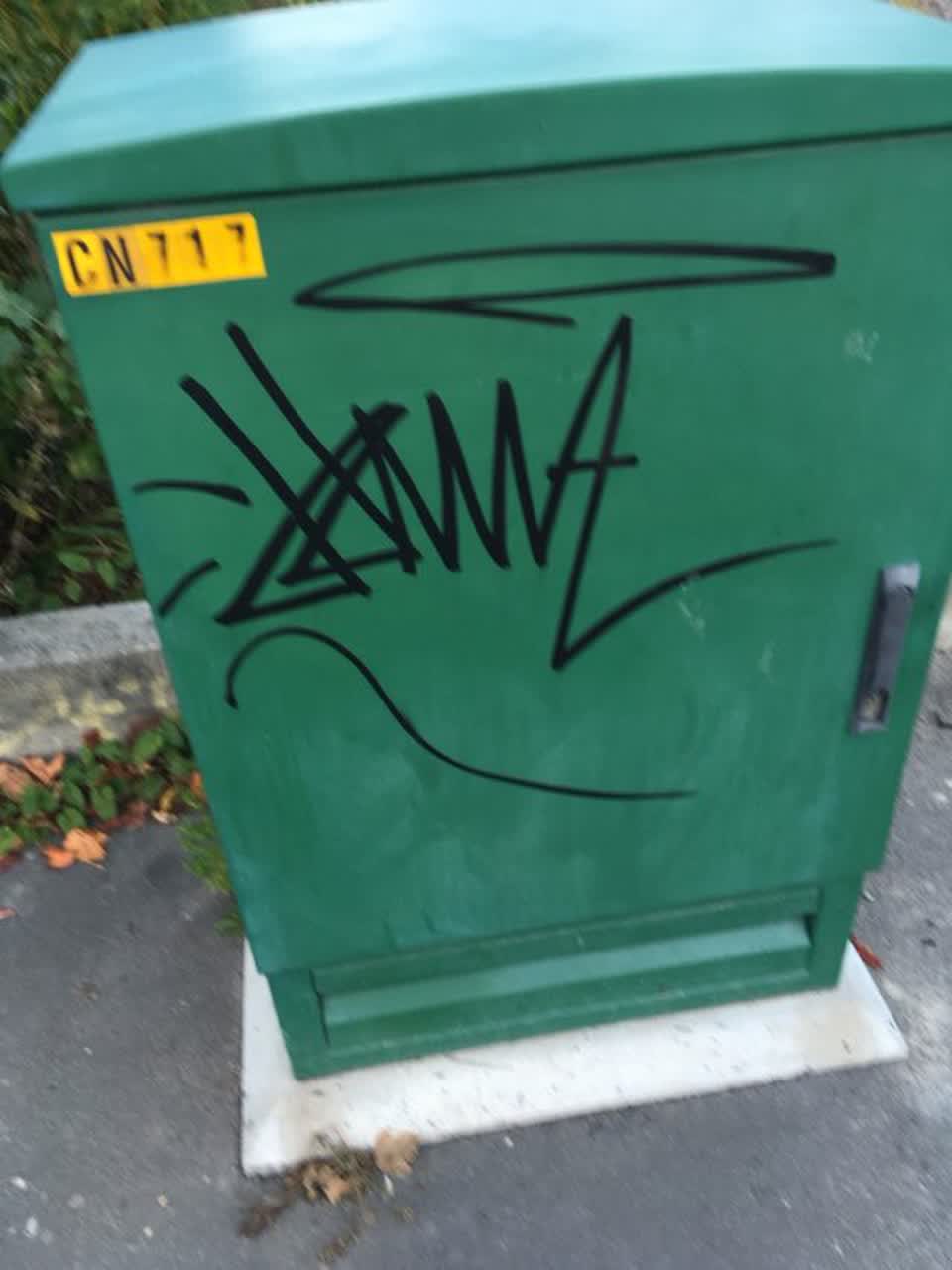 The photograph attached to this graffiti report