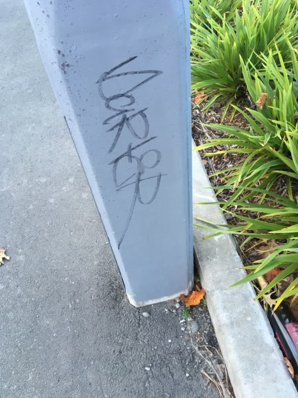 The photograph attached to this graffiti report