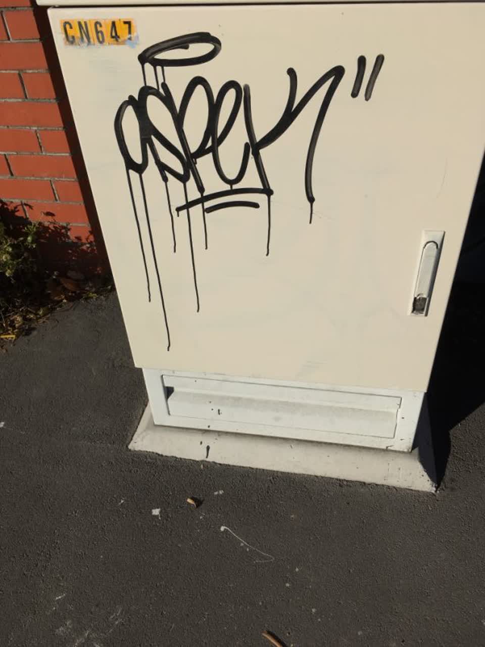 The photograph attached to this graffiti report