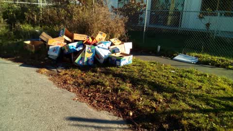 Rubbish/Recycling, a report photo