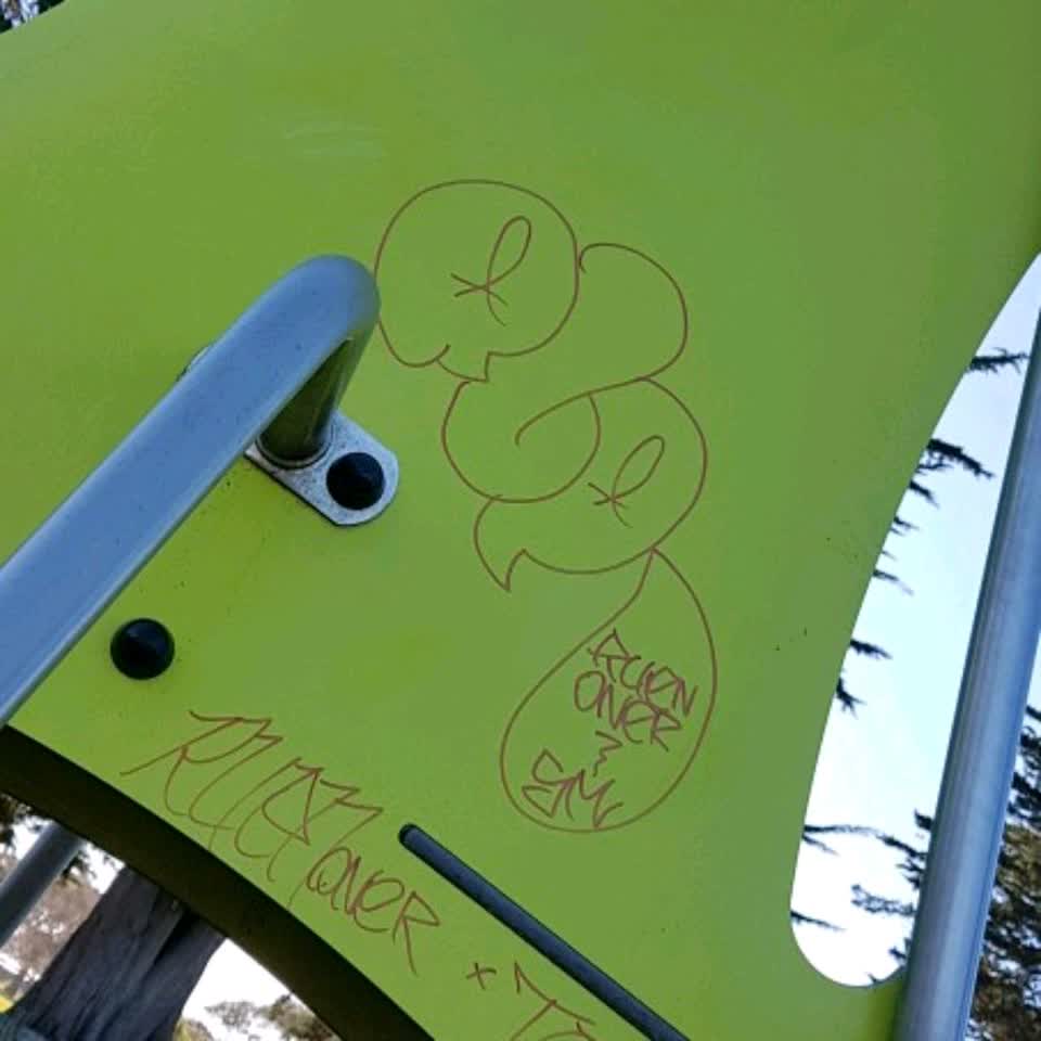 The photograph attached to this graffiti report
