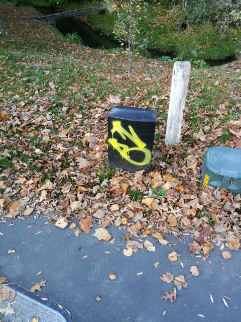 Graffiti, a report photo
