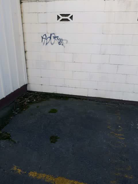 Graffiti, a report photo