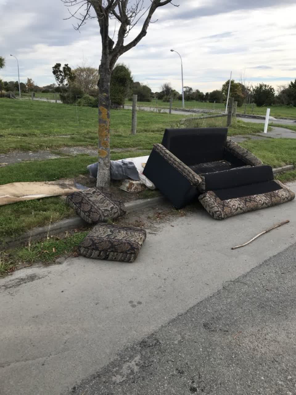 The photograph attached to this rubbish/recycling report