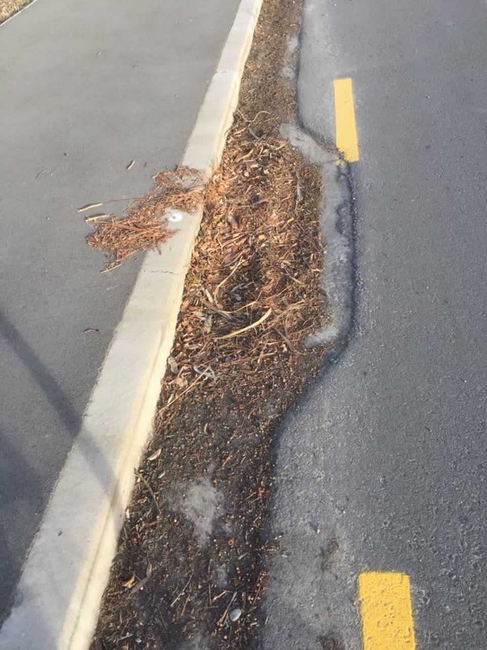 The photograph attached to this roading/streets report