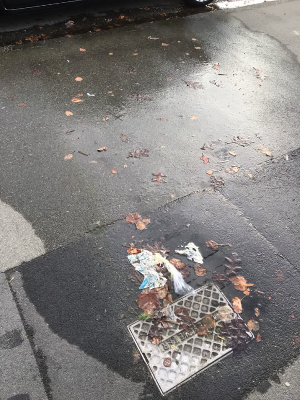 The photograph attached to this water supply report