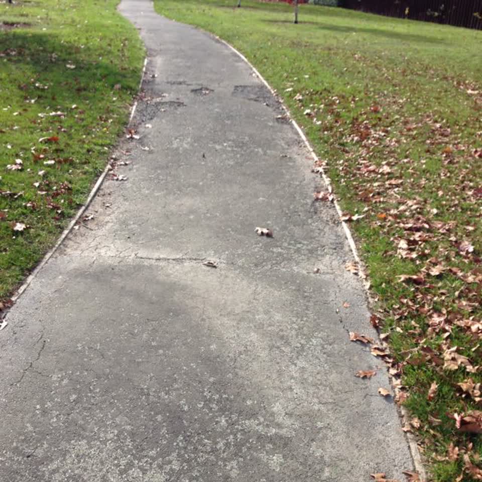 The photograph attached to this parks report