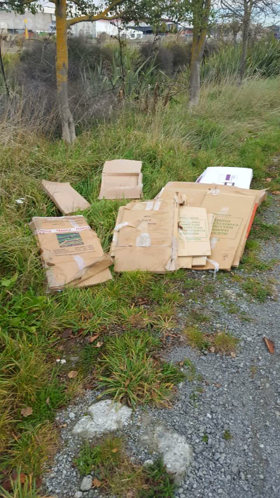 The photograph attached to this rubbish/recycling report