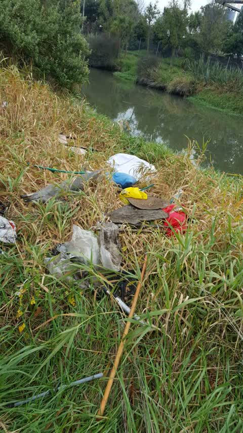 Rubbish/Recycling — a report photo