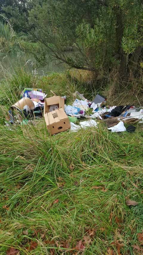 Rubbish/Recycling — a report photo
