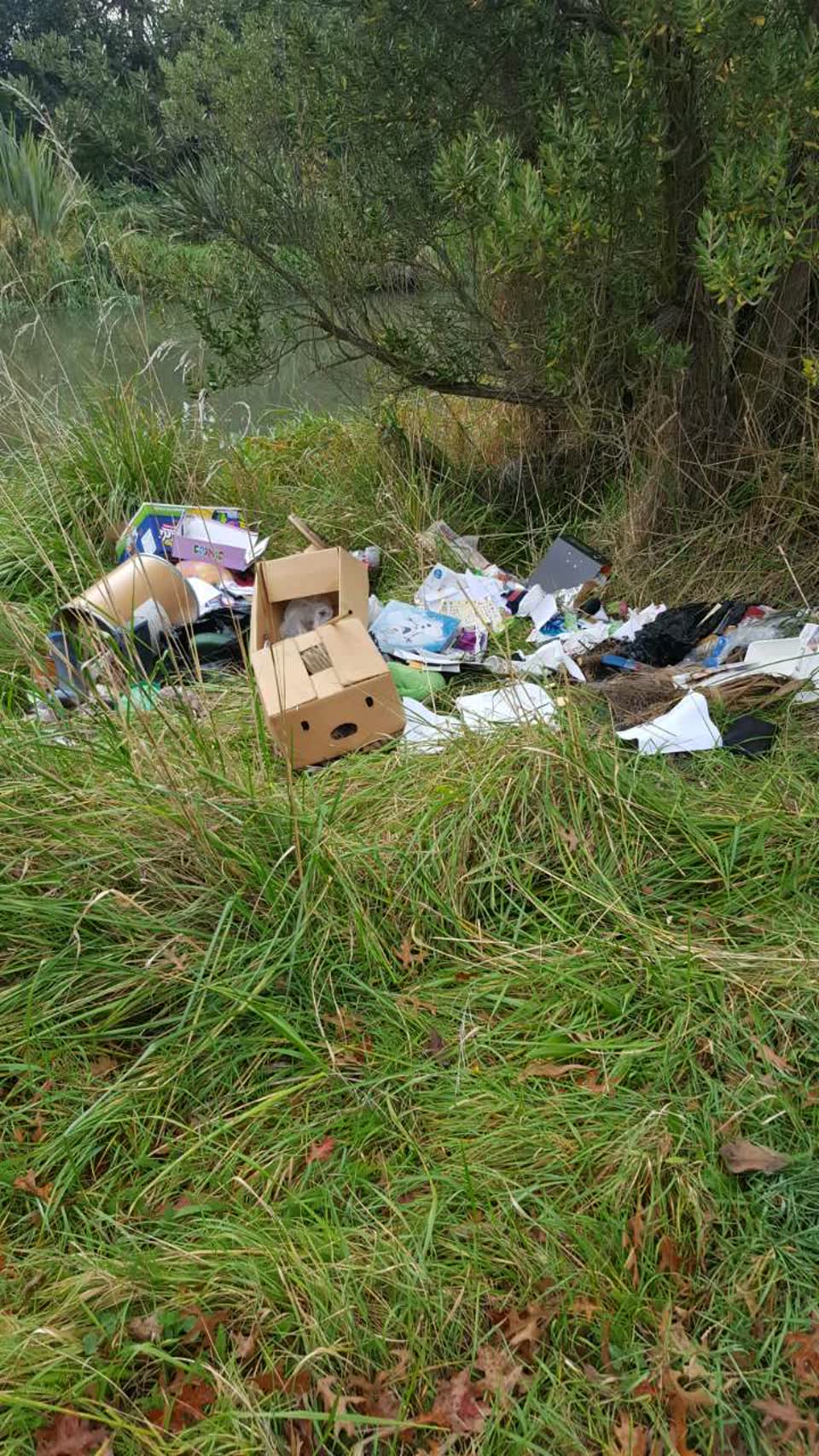 The photograph attached to this rubbish/recycling report