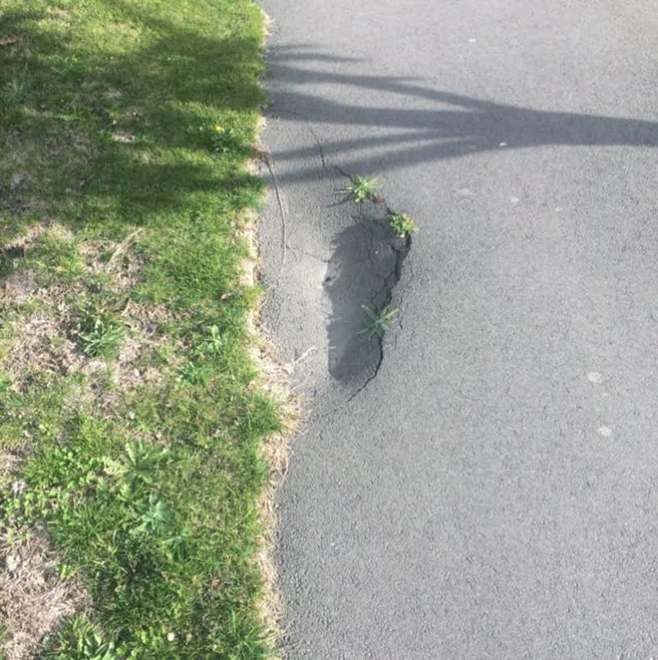 The photograph attached to this roading/streets report