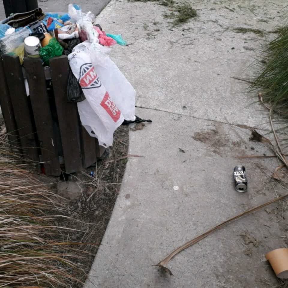The photograph attached to this parks report