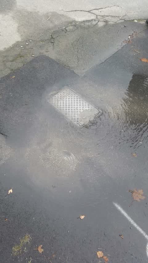 Water Supply, a report photo