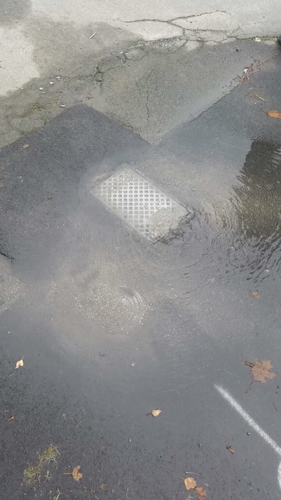 The photograph attached to this water supply report