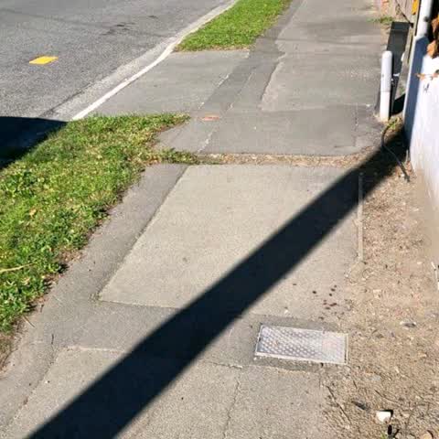 Roading/Streets, a report photo