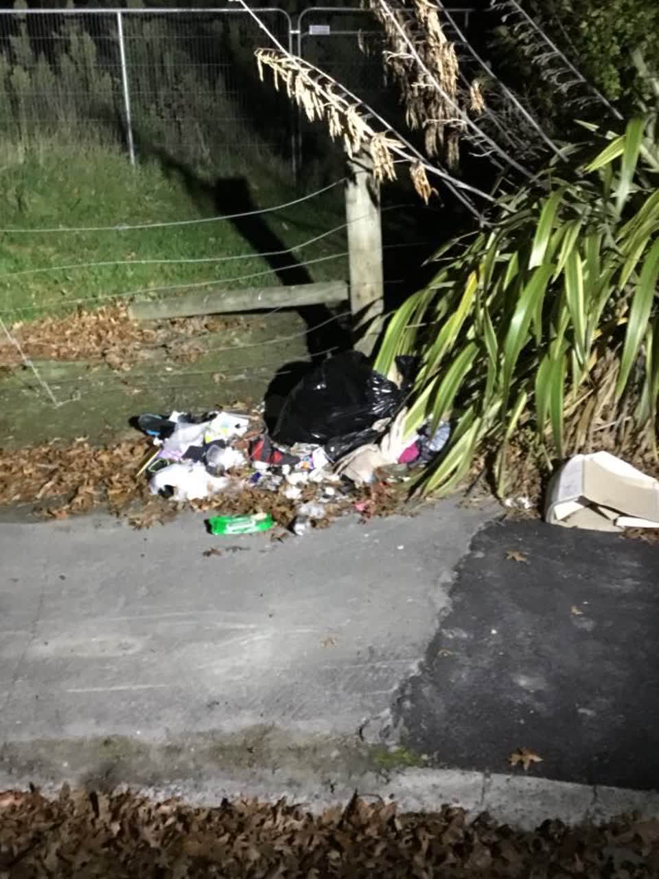 The photograph attached to this rubbish/recycling report