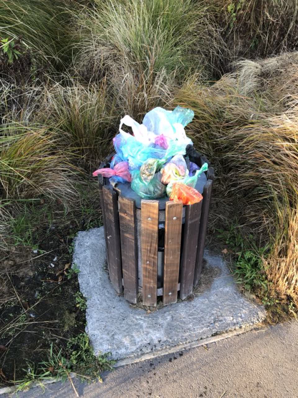 The photograph attached to this rubbish/recycling report