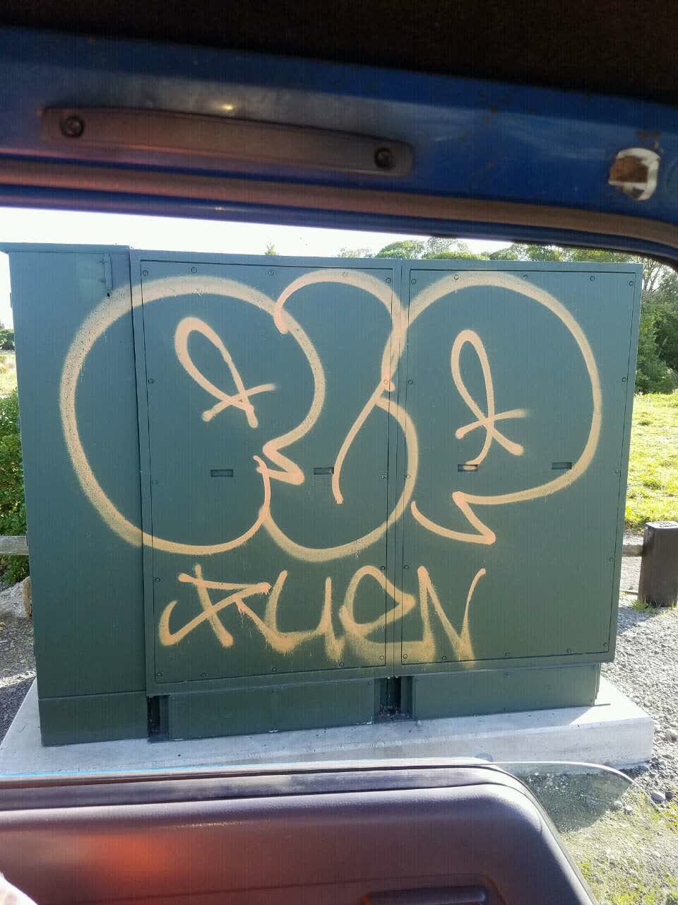 The photograph attached to this graffiti report